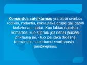 Grupės (komandos) normos, komandos sutelktumas 13 puslapis