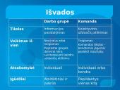 Grupės (komandos) normos, komandos sutelktumas 17 puslapis