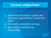 Grupės (komandos) normos, komandos sutelktumas 3 puslapis