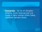 Grupės (komandos) normos, komandos sutelktumas 5 puslapis