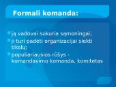 Grupės (komandos) normos, komandos sutelktumas 6 puslapis