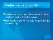 Grupės (komandos) normos, komandos sutelktumas 7 puslapis