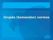 Grupės (komandos) normos, komandos sutelktumas 8 puslapis