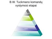 Grupės (komandos) normos, komandos sutelktumas 9 puslapis