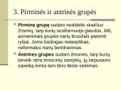 Grupės ir organizacijos 4 puslapis