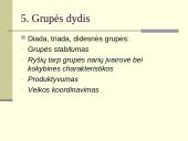 Grupės ir organizacijos 6 puslapis