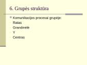 Grupės ir organizacijos 7 puslapis