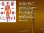 Homeostazė 12 puslapis