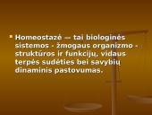 Homeostazė 3 puslapis