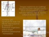 Homeostazė 4 puslapis