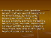 Homeostazė 9 puslapis