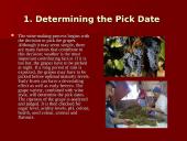 How Wine is Made 3 puslapis