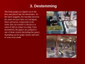 How Wine is Made 5 puslapis