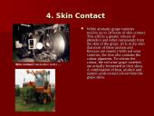 How Wine is Made 6 puslapis