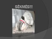 HTML (Hypertext markup language) pradžiamokslis 13 puslapis