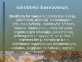 Identiteto analizė: SEB Vilniaus bankas 2 puslapis