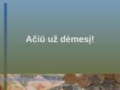 Identiteto analizė: SEB Vilniaus bankas 12 puslapis