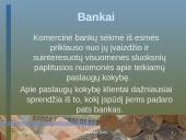 Identiteto analizė: SEB Vilniaus bankas 5 puslapis