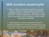 Identiteto analizė: SEB Vilniaus bankas 8 puslapis