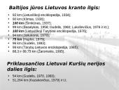 Ilgų kranto atkarpų būklės ir uostų įtvarų litodinaminio poveikio įvertinimas remiantis kartografine medžiaga 2 puslapis