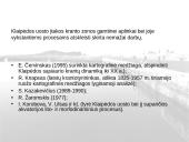 Ilgų kranto atkarpų būklės ir uostų įtvarų litodinaminio poveikio įvertinimas remiantis kartografine medžiaga 14 puslapis