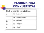 Įmonės UAB "Novita" analizė 13 puslapis