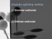 Įmonės aplinka 11 puslapis