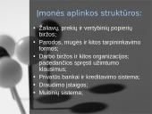 Įmonės aplinka 5 puslapis