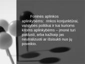 Įmonės aplinka 10 puslapis