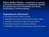 Įmonės ekonominių ir socialinių tikslų suderinamumas 2 puslapis