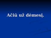 Įmonės ekonominių ir socialinių tikslų suderinamumas 12 puslapis