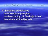 Įmonės eksporto organizavimas ir planavimas: IĮ P. Varkojis ir Ko 12 puslapis