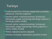 Įmonės pelno maksimizavimas trumpuoju laikotarpiu 2 puslapis