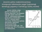 Įmonės pelno maksimizavimas trumpuoju laikotarpiu 6 puslapis
