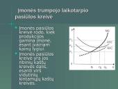 Įmonės pelno maksimizavimas trumpuoju laikotarpiu 10 puslapis