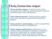 Įmonės tikslai. Vyraujančio tikslo apibūdinimas 11 puslapis