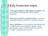 Įmonės tikslai. Vyraujančio tikslo apibūdinimas 12 puslapis