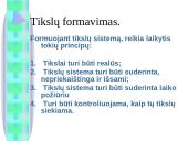 Įmonės tikslai. Vyraujančio tikslo apibūdinimas 10 puslapis