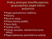 Įmonės veiklos sandara 12 puslapis