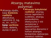 Įmonės veiklos sandara 13 puslapis