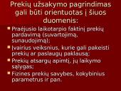 Įmonės veiklos sandara 5 puslapis