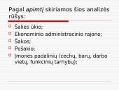 Įmonių veiklos analizės rūšys ir sudedamosios dalys 4 puslapis