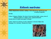 Indijos Respublika 5 puslapis