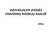 Individualios įmonės finansinių rodiklių analizė