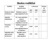 Individualios įmonės finansinių rodiklių analizė 12 puslapis