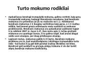 Individualios įmonės finansinių rodiklių analizė 9 puslapis