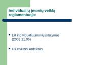 Individualių įmonių steigimas 4 puslapis