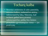 Svarbiausi faktai apie Indoeuropiečių kalbų šeimą 15 puslapis