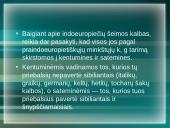 Svarbiausi faktai apie Indoeuropiečių kalbų šeimą 16 puslapis