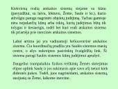 Inercijos atskaitos sistemos 5 puslapis